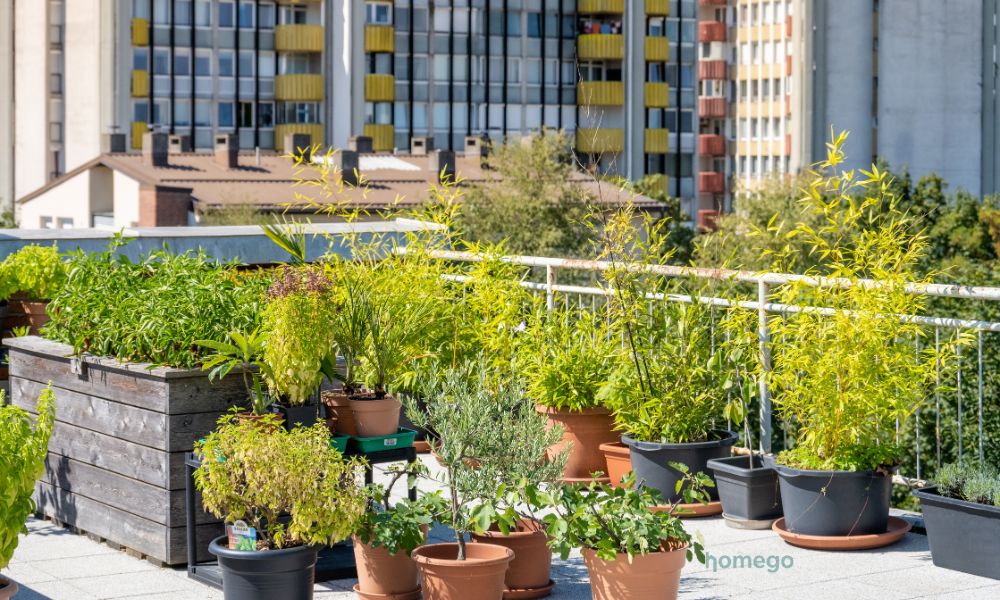 Rooftop Rumah: Konsep, Fungsi, dan Hal Penting yang Perlu Dipahami