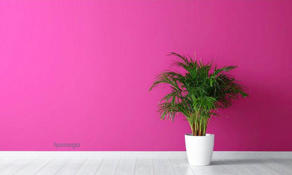 Warna Magenta dalam Desain Interior: Dari Karakter hingga Penerapannya